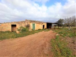 Finca rústica con posibilidad de edificar en Llubi photo 0