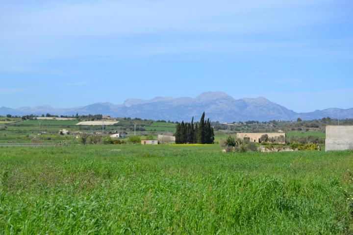 Finca rústica en venta en Santa Margalida. photo 0