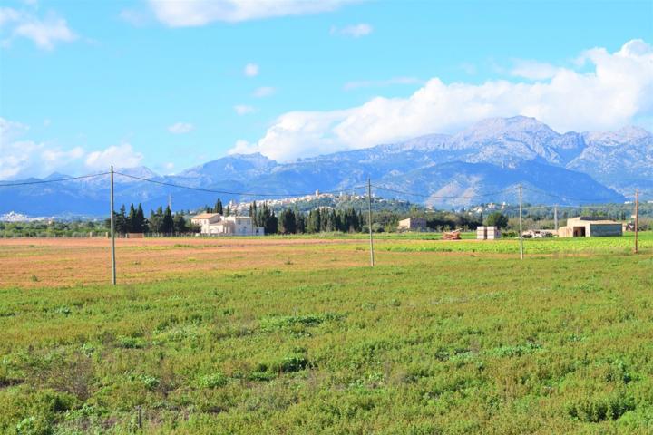 Finca rústica en Sa Pobla con  posibilidad de construir photo 0