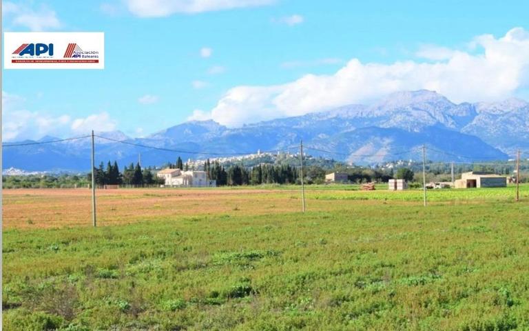 Finca rústica en Sa Pobla con  posibilidad de construir photo 0