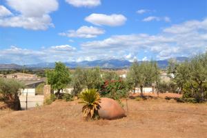 Increíble terreno de 1110 m2  urbanos con vistas a la Tramuntana. photo 0