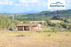 Finca rústica con casa de campo y fantásticas vistas a las Serra de Llevant en Muro. photo 0