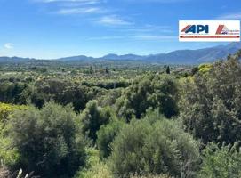 Terreno en venta con unas vistas espectaculares a la Serra de Tramuntana en  Campanet photo 0