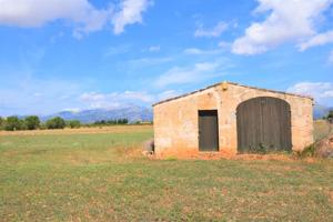 Finca rústica con caseta de campo y magnificas vistas a la Serra de Tramuntana en Llubi photo 0