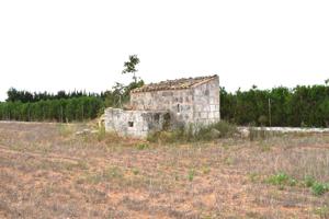 Finca rústica con caseta de herramientas y vistas a la Serra de Tramuntana en Muro photo 0