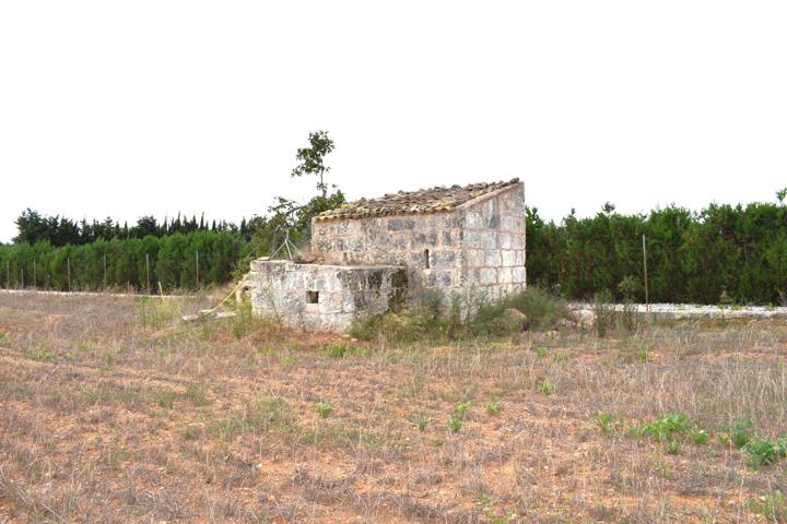 Finca rústica con caseta de herramientas y vistas a la Serra de Tramuntana en Muro photo 0