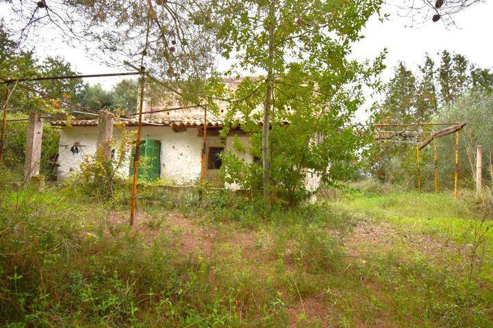 Finca rústica con casa de campo y espectaculares vistas a la Tramuntana  en Muro photo 0