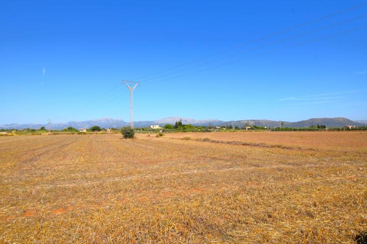 Finca rústica con posibilidad de vivienda en Muro photo 0