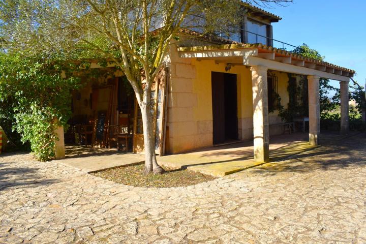 Finca rústica con casa de campo con hermosas  vistas a la Serra de Tramuntana en Muro photo 0