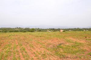 Finca rústica con vistas a la Serra de Tramuntana en Llubi photo 0