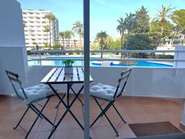 Estudio con vistas a la piscina en Puerto de Alcudia photo 0