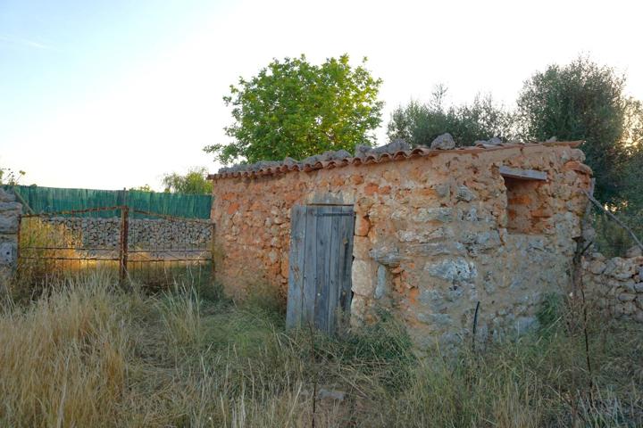 Finca rústica con caseta de herramientas en Santa Margalida photo 0