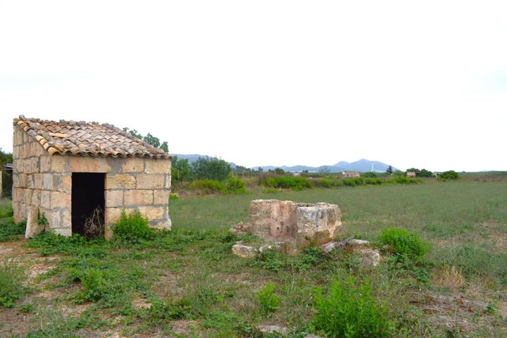 Finca rústica con caseta de herramientas en Muro photo 0