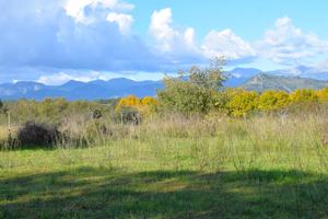 Solares con hermosas  vistas a la Serra de Tramuntana en Llubi photo 0