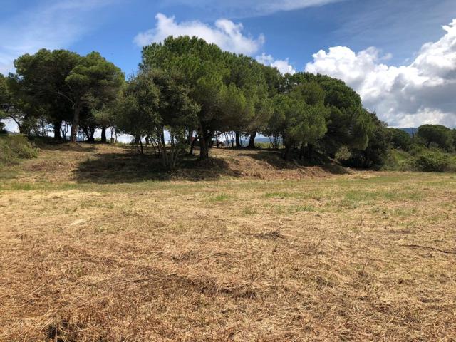 Parcela sin vecinos en zona tranquila de Sant quirze de safaja photo 0