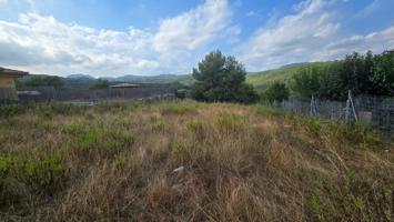 Plano con vistas y soleado photo 0