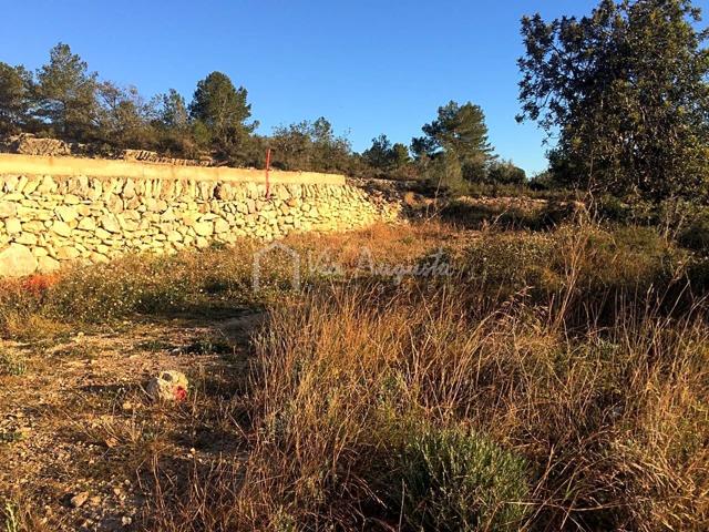 Terreno en venta en El Perelló de 197 m2 photo 0