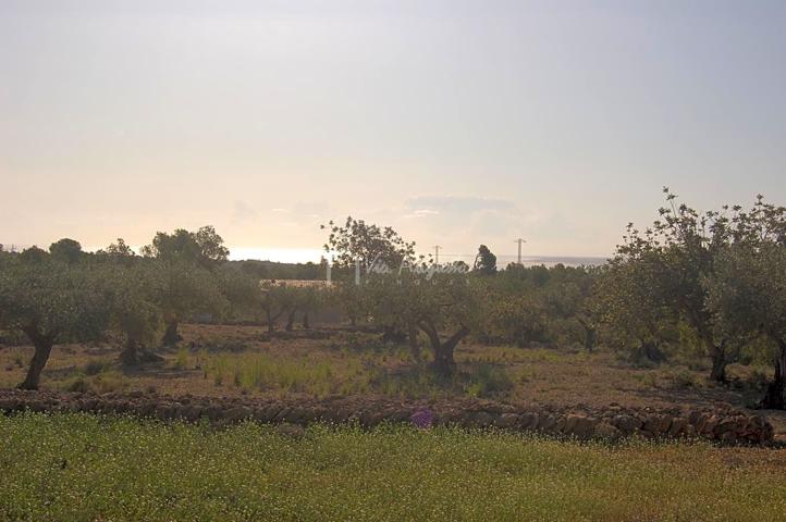Finca Rústica en venta en El Perelló de 21355 m2 photo 0