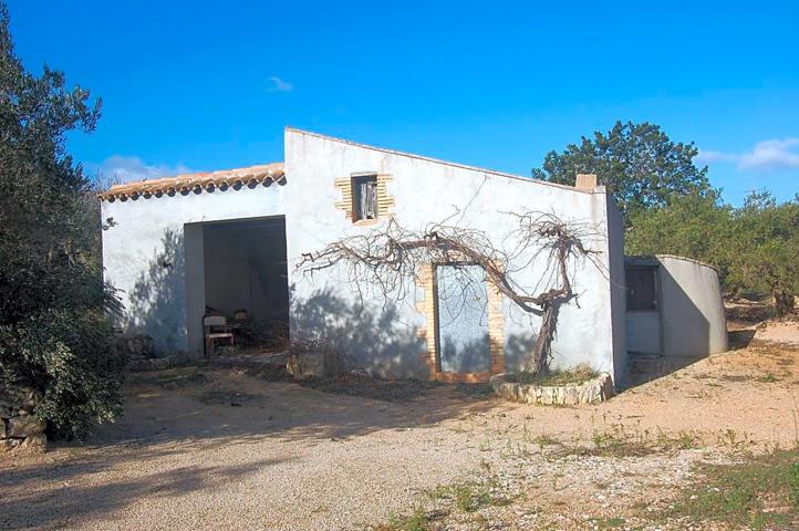 Finca Rústica en venta en El Perelló de 16000 m2 photo 0