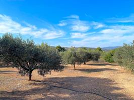 Finca Rústica en venta en Rasquera de 13830 m2 photo 0