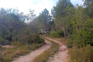 Finca Rústica en venta en L&#x27;Ametlla de Mar de 37272 m2 photo 0