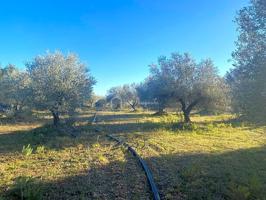 Terreno en venta en El Perelló de 5051 m2 photo 0