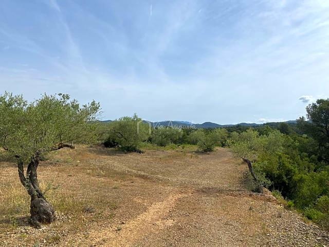 Finca Rústica en venta en El Perelló de 6295 m2 photo 0