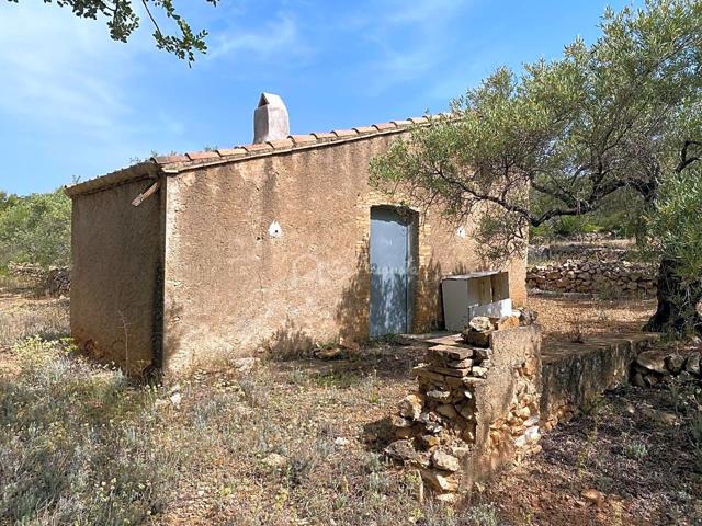 Finca Rústica en venta en El Perelló de 20793 m2 photo 0