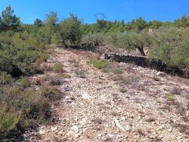 Terreno en venta en El Perelló de 14379 m2 photo 0