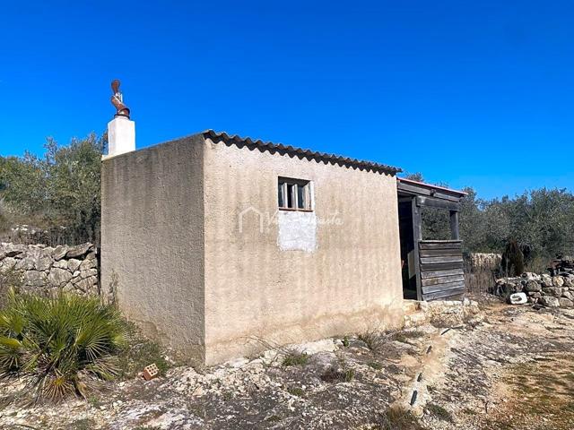 Finca Rústica en venta en El Perelló de 6610 m2 photo 0