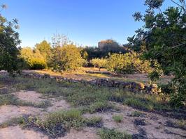 Finca Rústica en venta en El Perelló de 4969 m2 photo 0