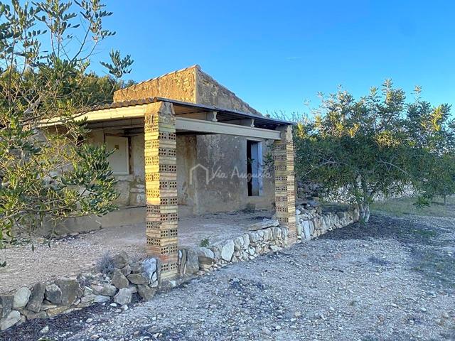 Finca Rústica en venta en El Perelló de 4076 m2 photo 0