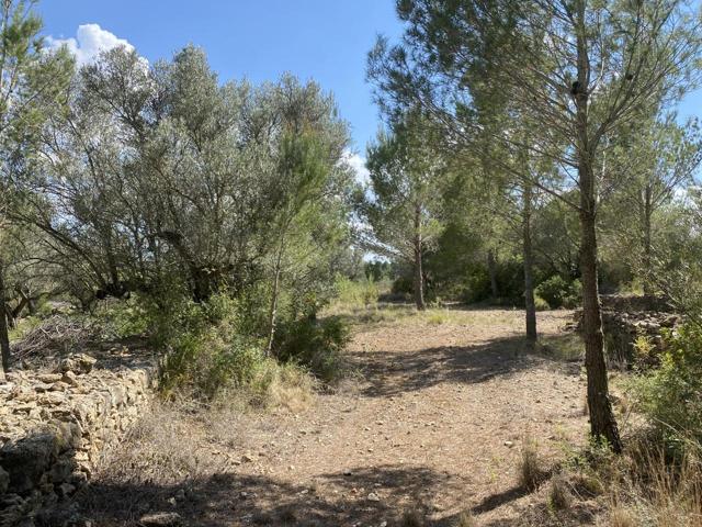 Finca Rústica en venta en El Perelló de 16518 m2 photo 0