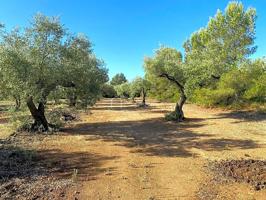 Finca Rústica en venta en El Perelló de 10226 m2 photo 0