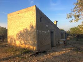 Finca Rústica en venta en El Perelló de 16401 m2 photo 0