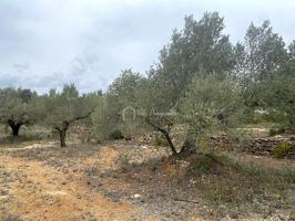 Finca Rústica en venta en El Perelló de 46520 m2 photo 0