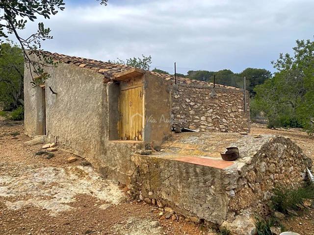 Finca Rústica en venta en El Perelló de 38395 m2 photo 0