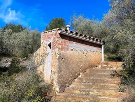 Finca Rústica en venta en El Perelló de 7873 m2 photo 0