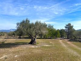 Finca Rústica en venta en El Perelló de 19535 m2 photo 0
