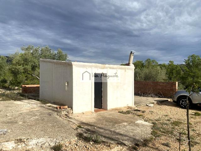 Finca Rústica en venta en L&#x27;Ampolla de 22858 m2 photo 0