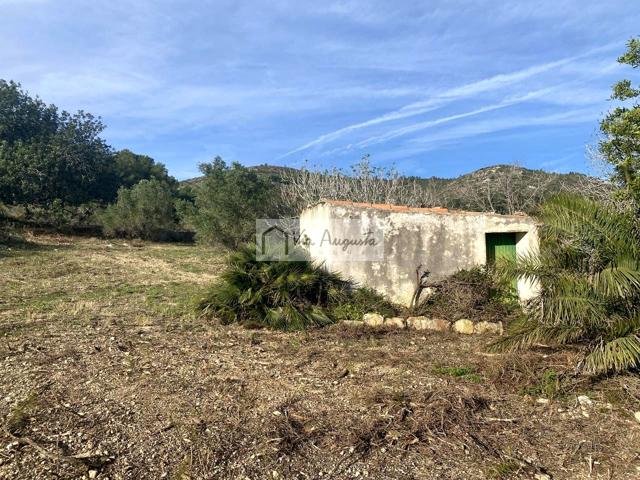 Finca Rústica en venta en El Perelló de 9347 m2 photo 0