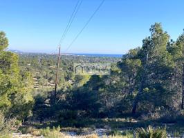 Finca Rústica en venta en L&#x27;Ametlla de Mar de 15420 m2 photo 0
