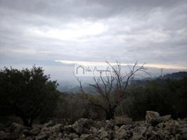Finca Rústica en venta en Tortosa de 2243 m2 photo 0