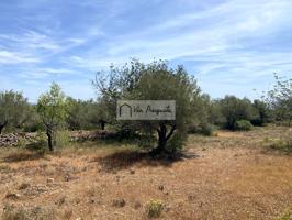 Terreno en venta en El Perelló de 12444 m2 photo 0