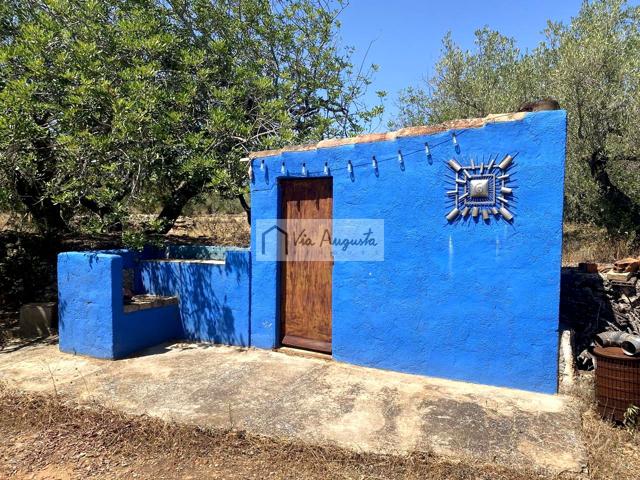 Finca Rústica en venta en El Perelló de 6051 m2 photo 0
