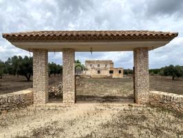 Finca Rústica en venta en El Perelló de 68302 m2 photo 0