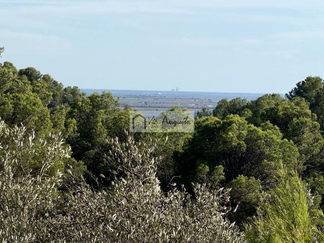 Finca Rústica en venta en El Perelló de 114550 m2 photo 0