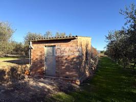 Finca Rústica en venta en Móra d'Ebre de 2643 m2 photo 0