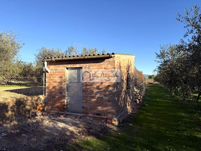 Finca Rústica en venta en Móra d'Ebre de 2643 m2 photo 0