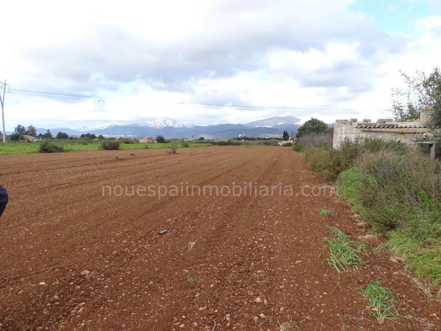 Terreno Urbanizable En venta en Afueras, 0, Ctra Muro - Can Picafort, Muro photo 0